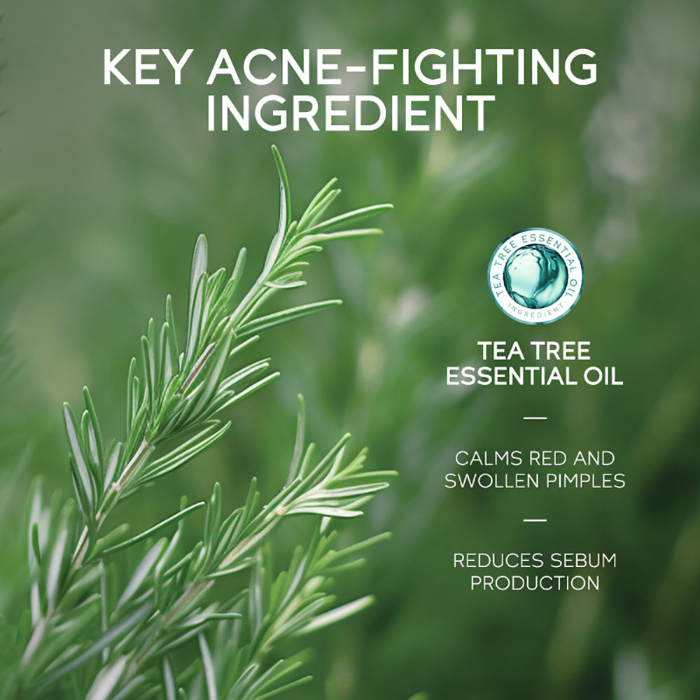라이코 티트리 여드름 젤 15g, 얼굴용 여드름/뾰루지 - Tea Tree Spot Treatment 리뷰 및 가격